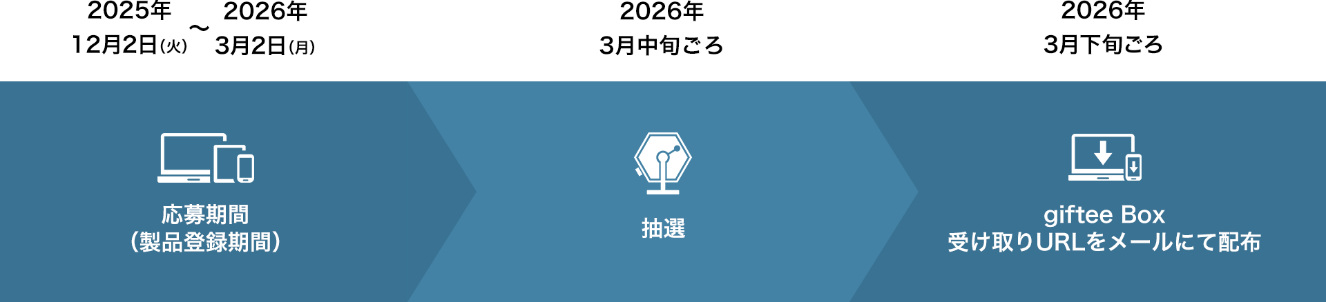 キャンペーンスケジュール
